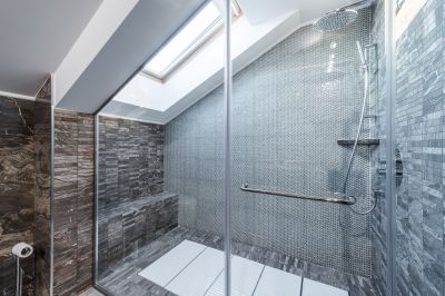 Glass Shower Door
